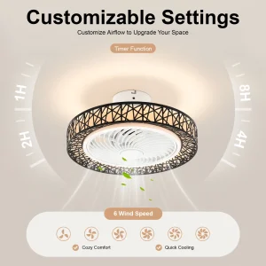 Modern Ceiling Fan Light